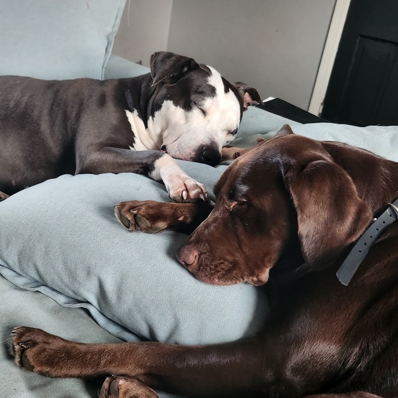 Meet your Posher, Malinda - Picture 6 of 6